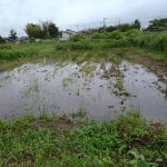 台風2号　2　230604